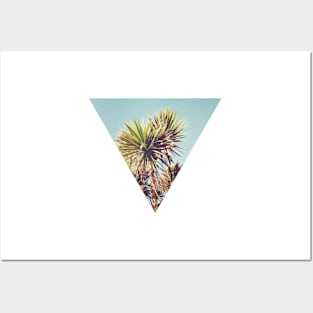 Palm Posters and Art